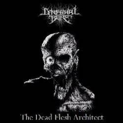 Cerebral Bore : The Dead Flesh Architect